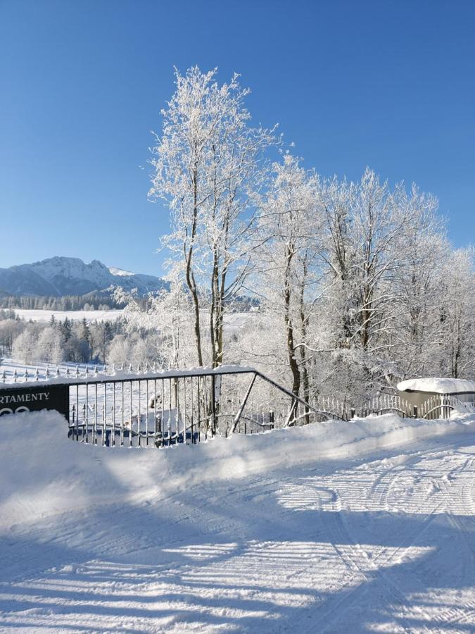 Apartamenty Bachledzki Wierch Zakopane Exterior foto