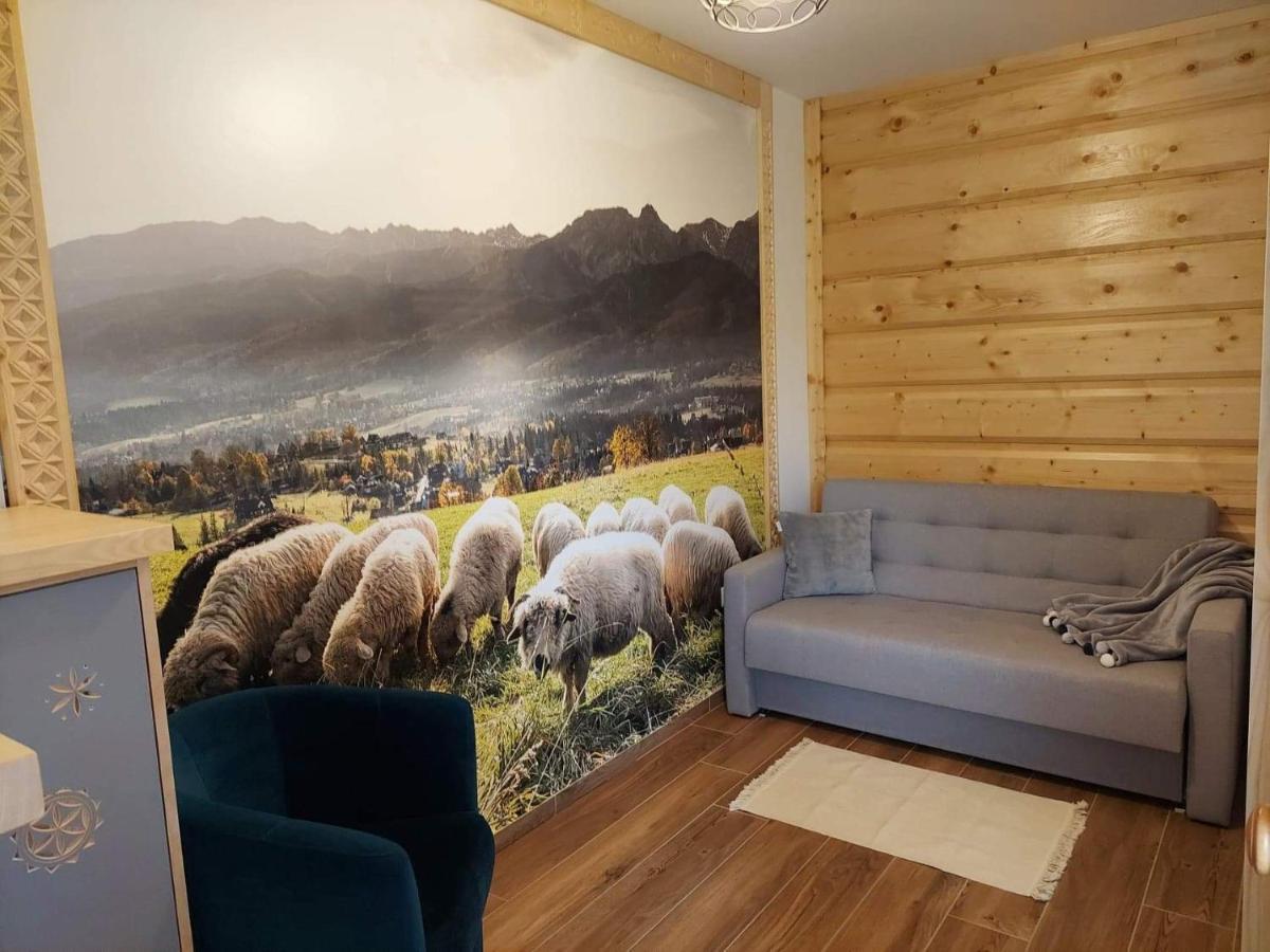 Apartamenty Bachledzki Wierch Zakopane Exterior foto
